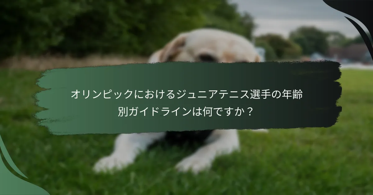 オリンピックにおけるジュニアテニス選手の年齢別ガイドラインは何ですか？