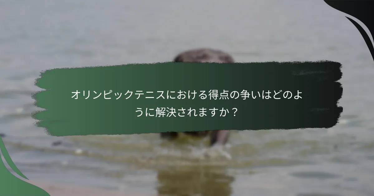 オリンピックテニスにおける得点の争いはどのように解決されますか？