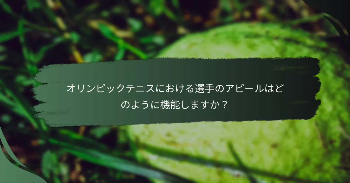 オリンピックテニスにおける選手のアピールはどのように機能しますか？