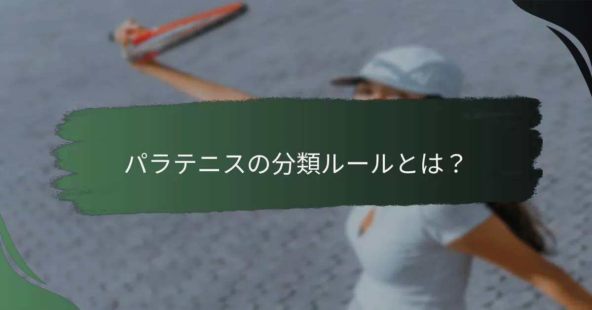 パラテニスの分類ルールとは？